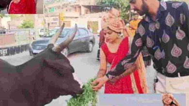 Photo of शादी का जोड़ा पहने ये दुल्हनिया गलियों में क्या कर रही है घूम घूम कर ? खबर पढ़िएगा तो जानकर आप भी “वाह” कह उठेंगे