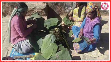 Photo of इन पत्तों ने बदली है इनकी दुनिया….पेड़ के पत्तों ने ली है इन गरीबों के पेट की जिम्मेदारी  