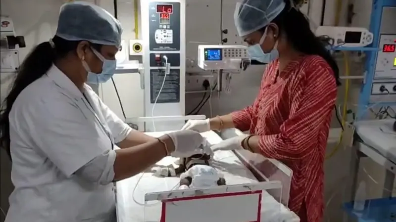 डॉक्टर शाहजहांपुर मेडिकल कॉलेज की एनआईसीयू में मिट्टी के ढेर से मिली नवजात बच्ची का इलाज करते हुए