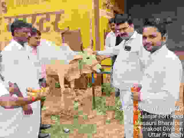 ग्रामीण वातावरण में आयोजित पशु चिकित्सा शिविर का दृश्य, जिसमें किसान और डॉक्टर गाय-बैलों की जांच और देखभाल करते नजर आ रहे हैं।