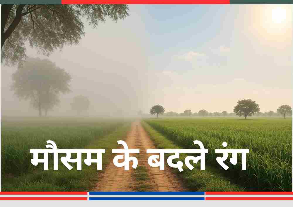 सुबह की धुंध और दिन की तेज धूप के बीच विभाजित ग्रामीण रास्ता, उत्तर प्रदेश के बदलते मौसम का प्रतीक।