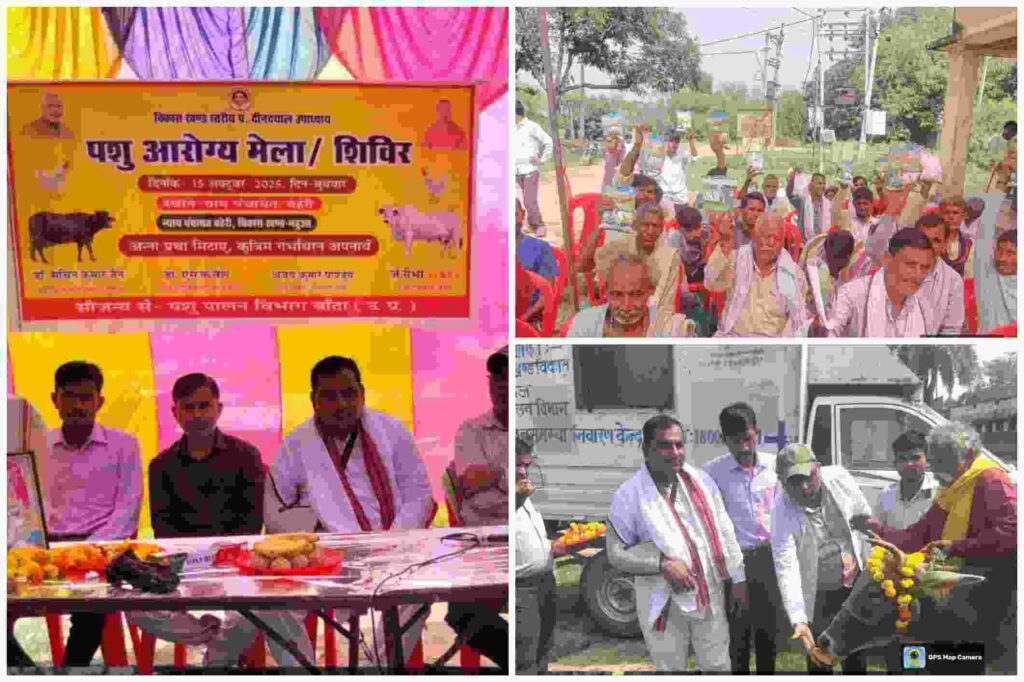 बहेरी महुआ में आयोजित पंडित दीनदयाल उपाध्याय पशु आरोग्य मेला