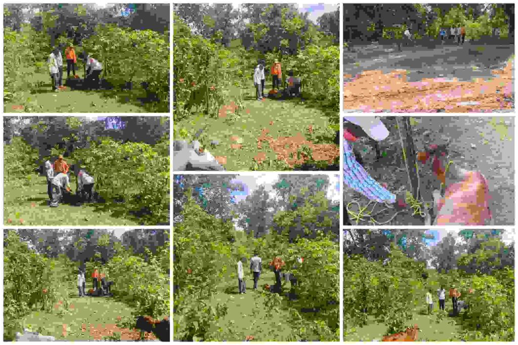 गढ़चिरौली जिले के मारिगुडम गांव के जंगल में सनातन रक्षा दल की टीम ने तस्करों के बंधन से 08 गाय-बछड़ों को मुक्त कराया
