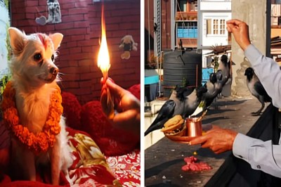 कुकुर तिहार में कुत्ते को मालाएं पहनाकर पूजा करते हुए और काग तिहार में कौवों को भोजन अर्पित करते हुए व्यक्ति का दृश्य