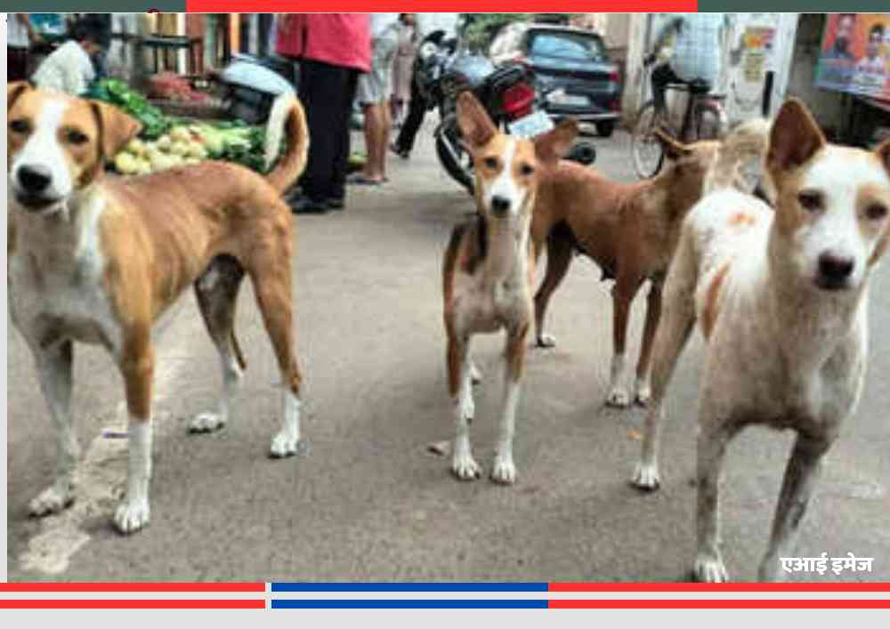 उत्तर प्रदेश के बाराबंकी जिले में सड़क पर खड़े आवारा कुत्तों का झुंड, जहां कुत्तों की गिनती के लिए शिक्षकों को नोडल अधिकारी बनाया गया