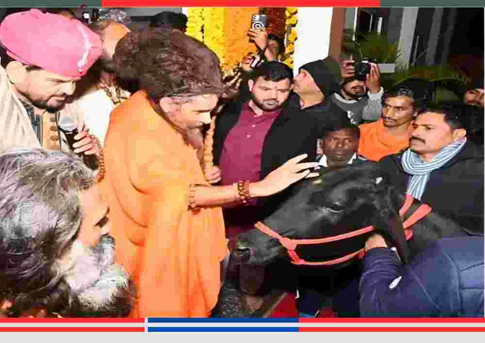 गोंडा के नंदिनी नगर में राष्ट्रकथा महोत्सव के दौरान ऋतेश्वर महाराज श्यामा गाय को स्नेहपूर्वक दुलारते हुए, आसपास मौजूद श्रद्धालु और आयोजक।