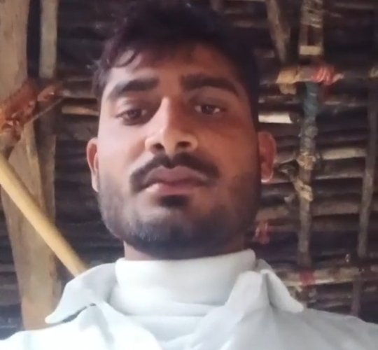 चित्रकूट गौशाला वायरल वीडियो से जुड़े ग्रामीण आंचल सिंह, जिन्होंने गौशाला की बदहाली को उजागर किया