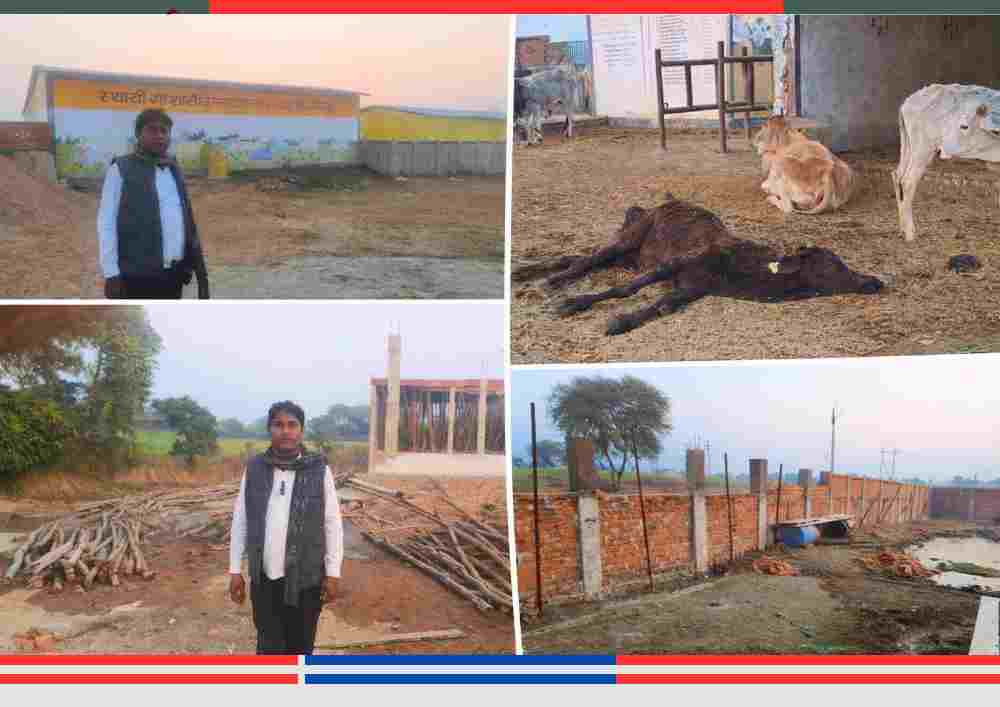 चित्रकूट के उन्नाय बन्ना गांव में गौशाला की बदहाल स्थिति, मृत गौवंश, अधूरी बाउंड्री वॉल और अंत्येष्टि स्थल निर्माण में अनियमितताओं को दर्शाता लैंडस्केप कोलाज‌