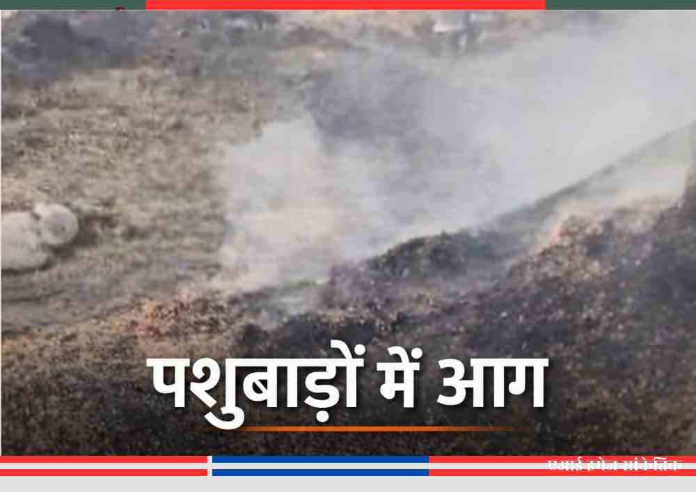 पशुबाड़ों में लगी आग के बाद जला भूसा और उठता धुआँ, ग्रामीण क्षेत्र में अग्निकांड का दृश्य।