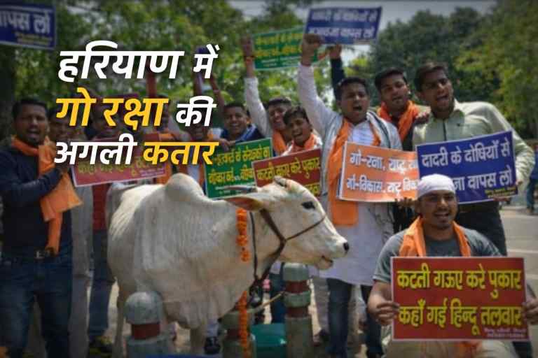 हरियाणा में गौ रक्षा को लेकर सड़कों पर प्रदर्शन करते युवा गोरक्षक और उनके साथ सुरक्षित खड़ी गाय का दृश्य