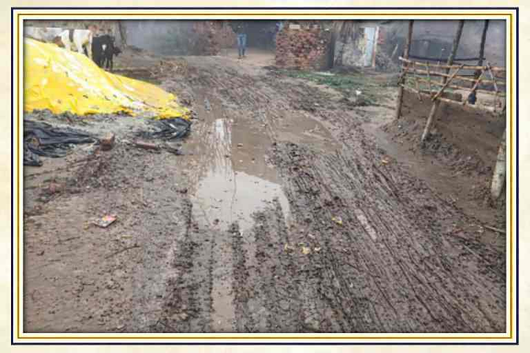 सीतापुर जिले के मल्लापुर गांव में कीचड़ और गंदे पानी से भरी टूटी सड़क, नालियों की बदहाली से परेशान ग्रामीणों की स्थिति