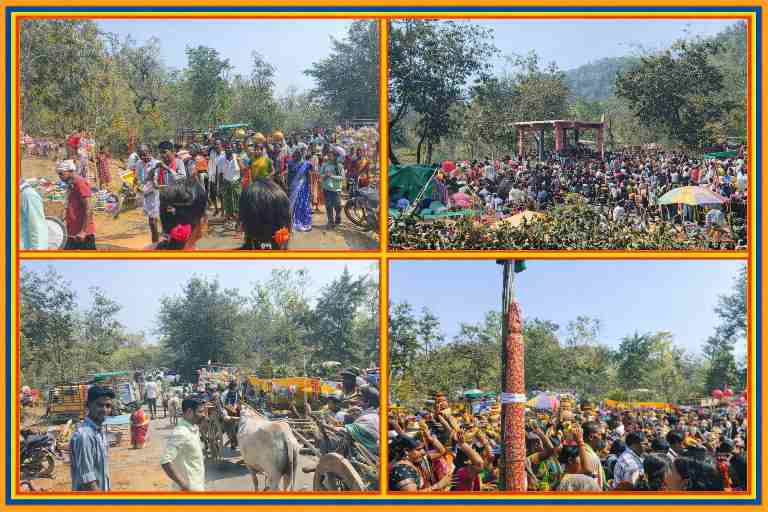 रडयेलुपु देवी माता यात्रा में बैल बंडी, ट्रैक्टर और पैदल आते श्रद्धालु, जंगलों के बीच मंदिर परिसर में उमड़ी भीड़ और महिलाओं द्वारा कलश यात्रा का दृश्य