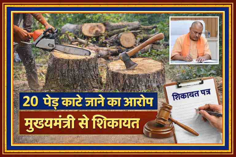 लैंडस्केप डबल स्टैंडर्ड कलर रुल्ड बॉक्स में पेड़ काटते हुए दृश्य, शिकायत पत्र और न्यायिक प्रतीक का न्यूज़ ग्राफिक