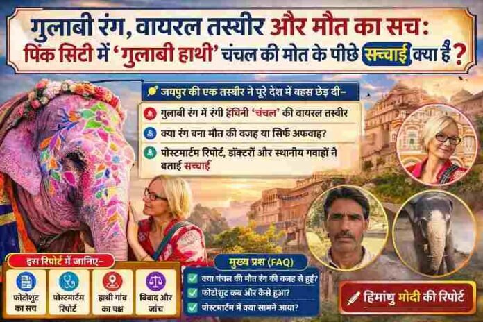 जयपुर में गुलाबी रंग से रंगी हथिनी चंचल की वायरल तस्वीर और उसकी मौत को लेकर उठे सवाल