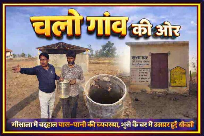 चित्रकूट के गांव में गौशाला की खराब स्थिति, पानी और चारे की कमी को दिखाती तस्वीर