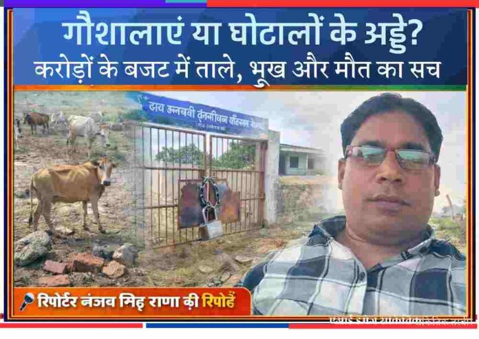 चित्रकूट की बंद पड़ी गौशाला और बाहर भटकते गौवंश के साथ रिपोर्टर संजय सिंह राणा की तस्वीर